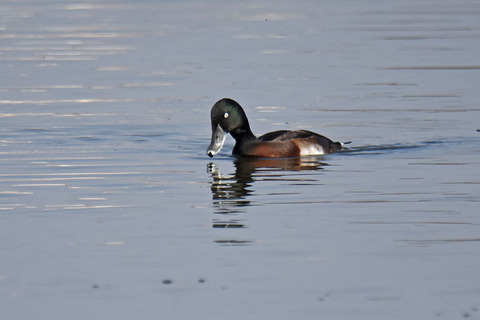 DSC_8825.jpg