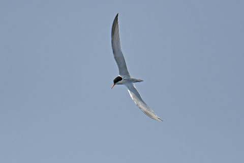 DSC_8829.jpg