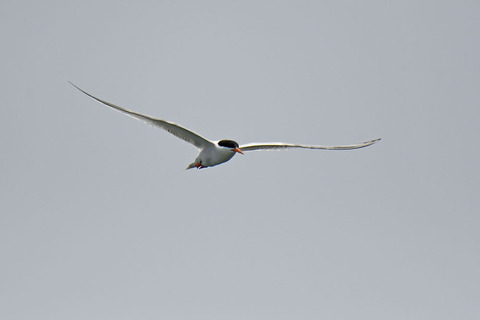 DSC_8891.jpg