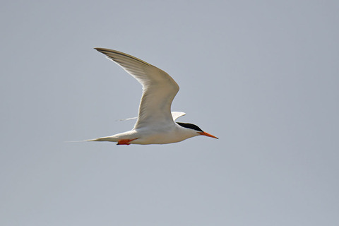 DSC_8906.jpg