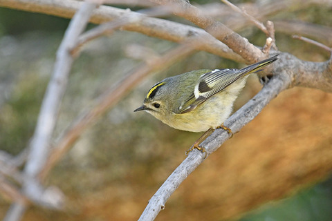 DSC_8924.jpg