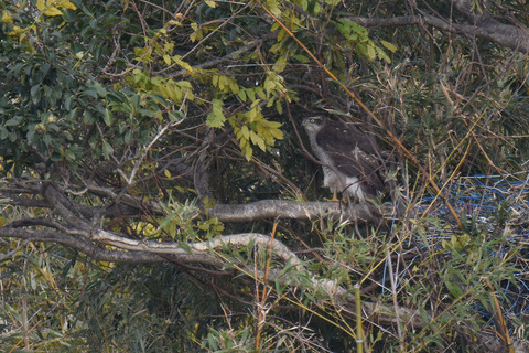 DSC_8927.jpg