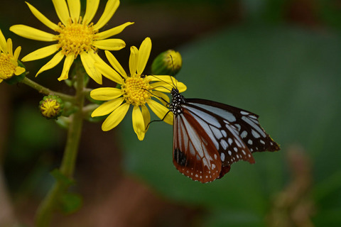 DSC_8939.jpg