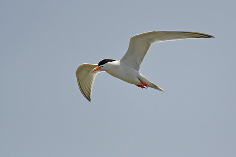 DSC_8970.jpg