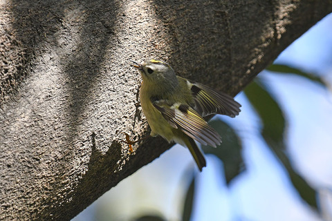 DSC_8977.jpg
