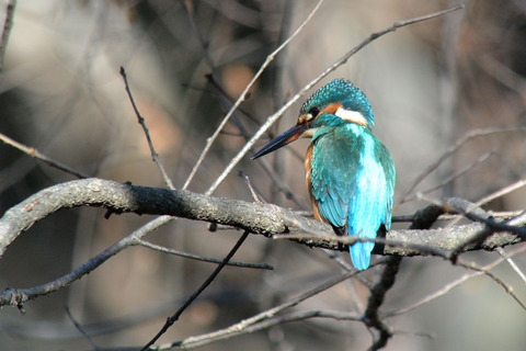 DSC_8977.jpg