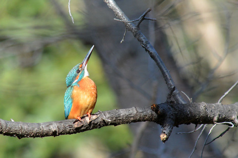 DSC_9004.jpg
