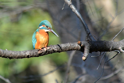 DSC_9007.jpg