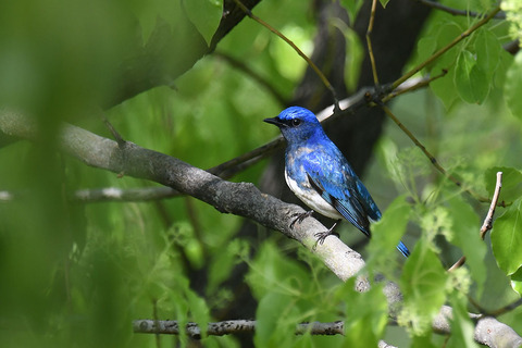 DSC_9058.jpg