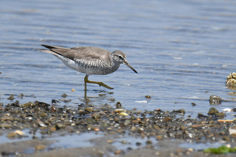 DSC_9063.jpg
