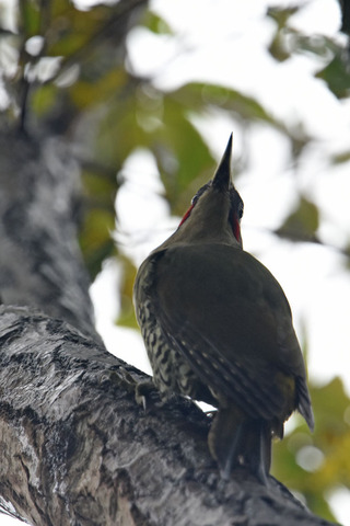 DSC_9089.jpg