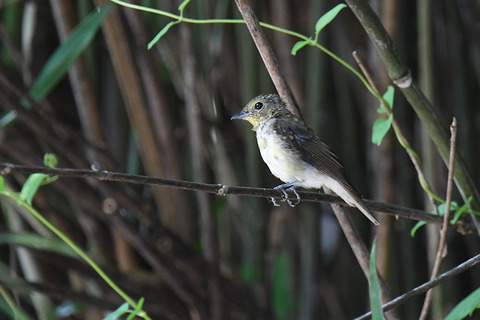 DSC_9127.jpg