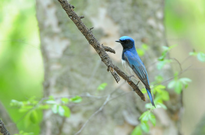 DSC_9136.jpg
