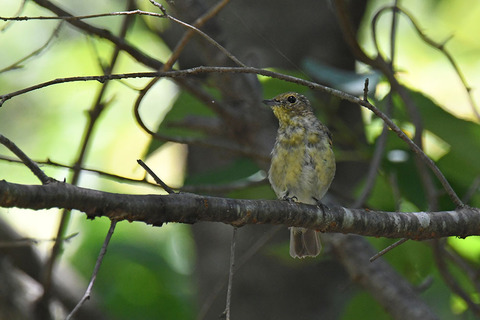 DSC_9159.jpg