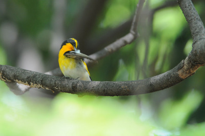 DSC_9163.jpg