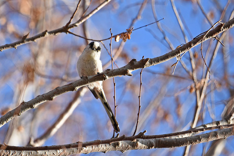 DSC_9164.jpg