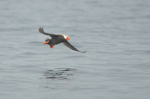 DSC_9172.jpg