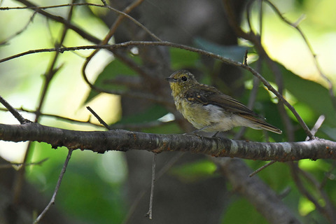 DSC_9180.jpg