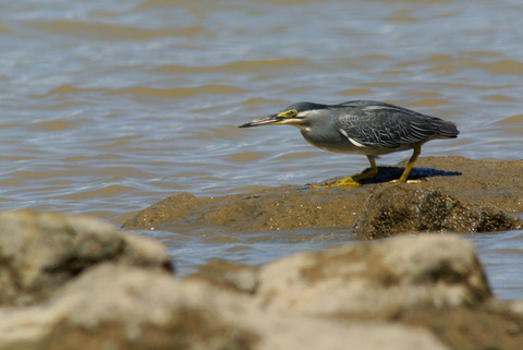 DSC_9197.jpg
