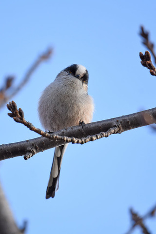 DSC_9209.jpg