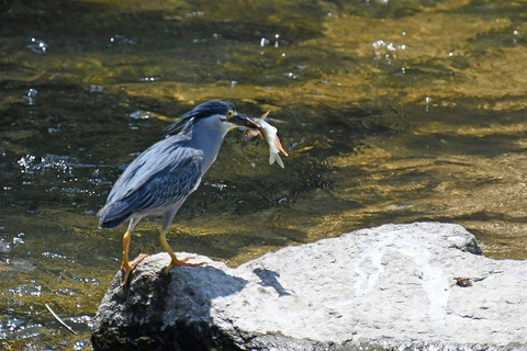DSC_9318.jpg