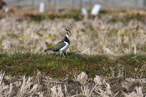 DSC_9430.jpg