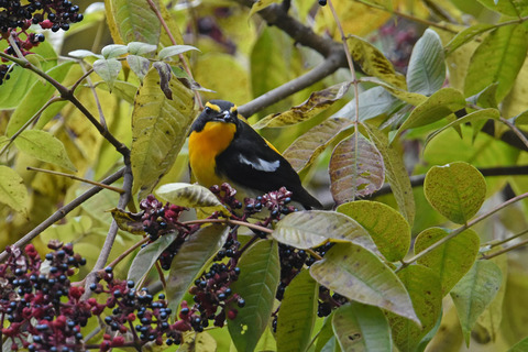 DSC_9497.jpg
