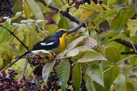 DSC_9580.jpg