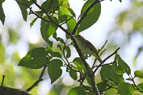 DSC_9722.jpg