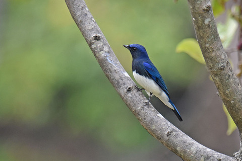 DSC_9764.jpg