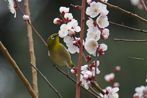 DSC_9770.jpg