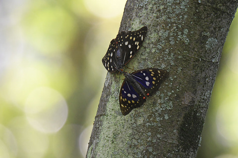 DSC_9782.jpg