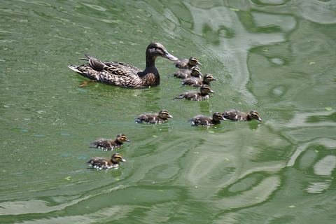 DSC_9839.jpg