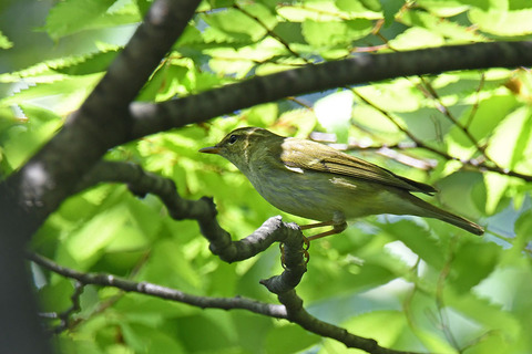 DSC_9880.jpg
