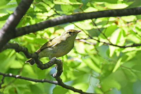 DSC_9882.jpg