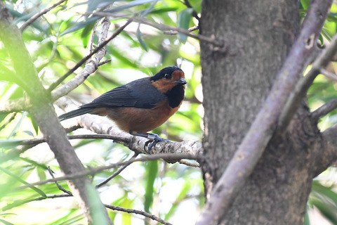 DSC_9893.jpg