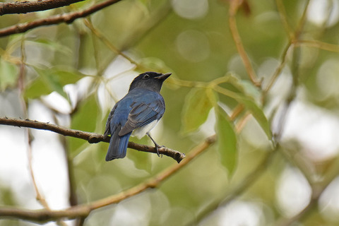 DSC_9901.jpg
