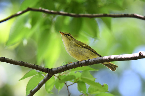 DSC_9903.jpg