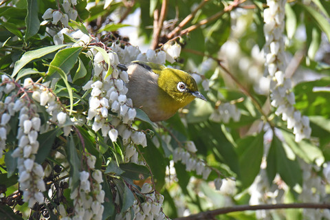 DSC_9916.jpg