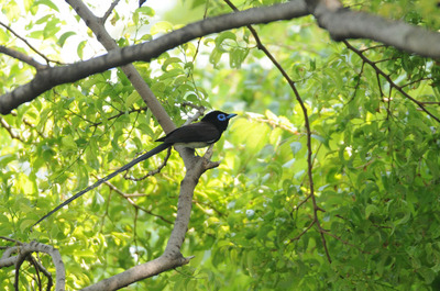 DSC_9931.jpg