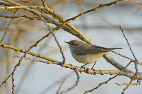 DSC_9936.jpg