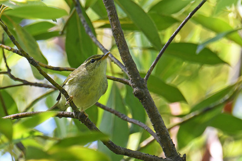 DSC_9959.jpg