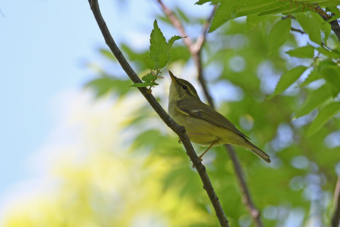 DSC_9972.jpg