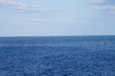 IMGP2446.jpg