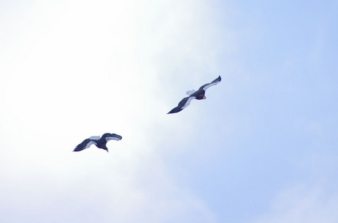 IMGP7511.jpg