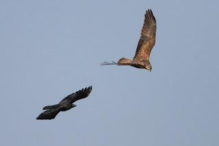 IMG_1693.jpg