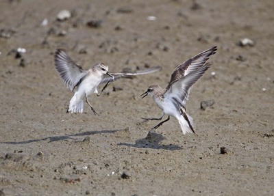 IMG_1798.jpg