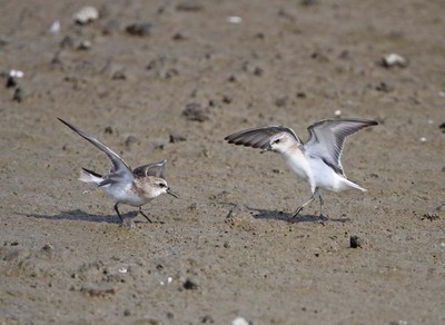 IMG_1807.jpg