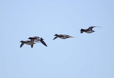 IMG_1956.jpg