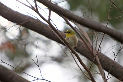 IMG_2304.jpg